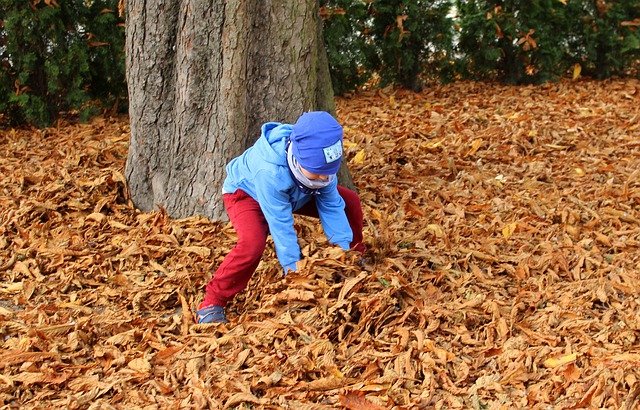 picture symbolising an independent child