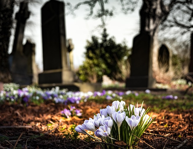 graveyard
